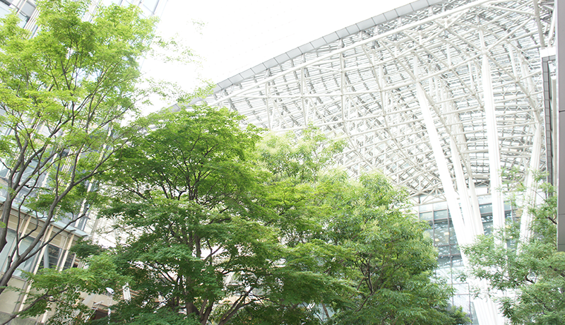 kokapp体育 寒山の弟子たちは、どこからともなく現れたこの小さな姉を見ました。